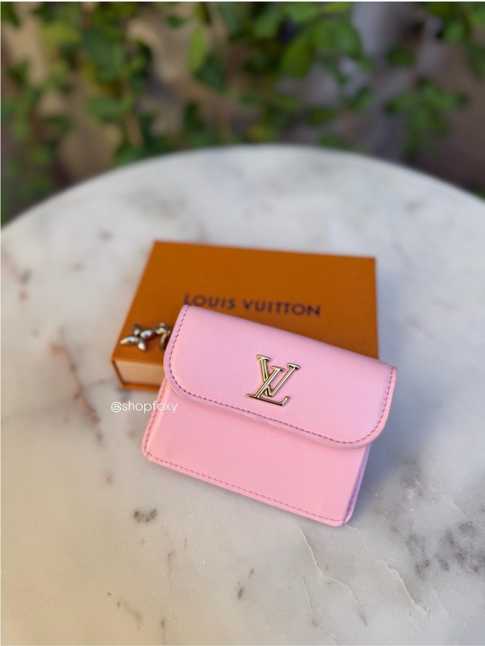 Louis Vuitton Tiny Recto Verso Card Holder